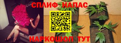 трава Севастополь