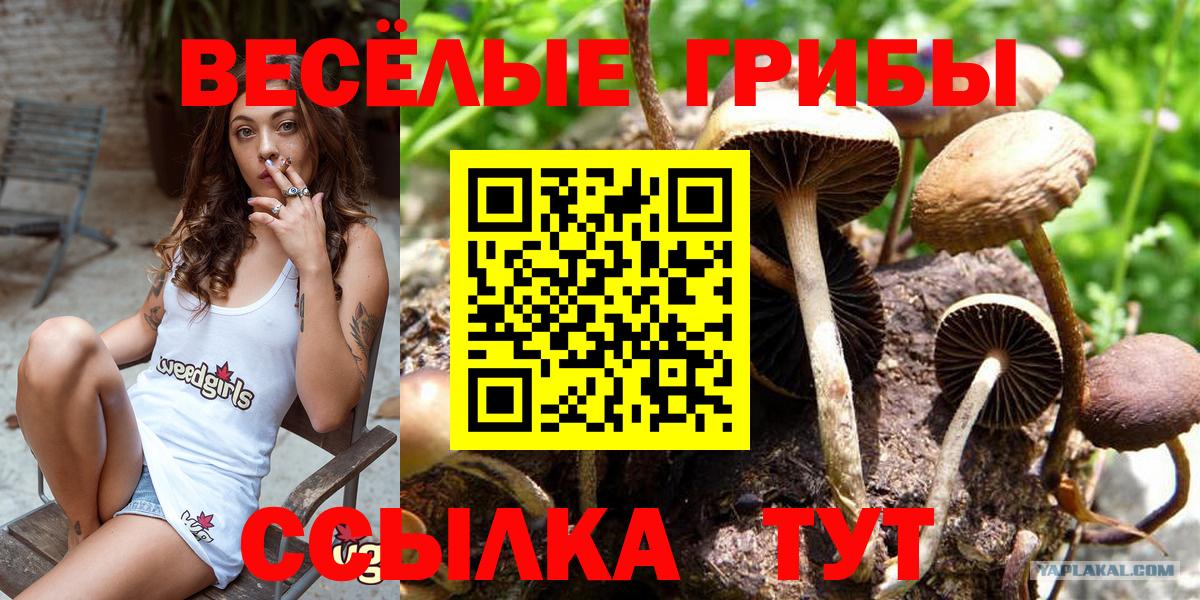 А ПВП Приморско-Ахтарск